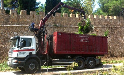 vehículo recogiendo residuos de arboles